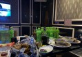 分布式工作招聘条件要求（分布式工作团队组建标准与要求）