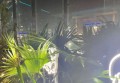 上海生意火爆的夜场招聘商务礼仪,薪资待遇包括基本工资外还有其他福利吗？